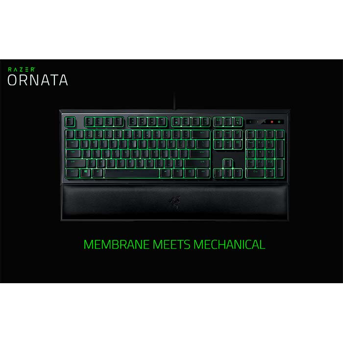 Razer_Ornata