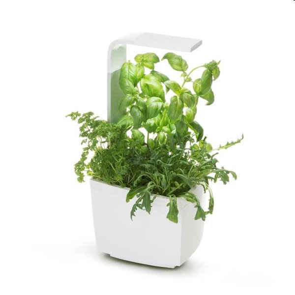 Torress's Product Image