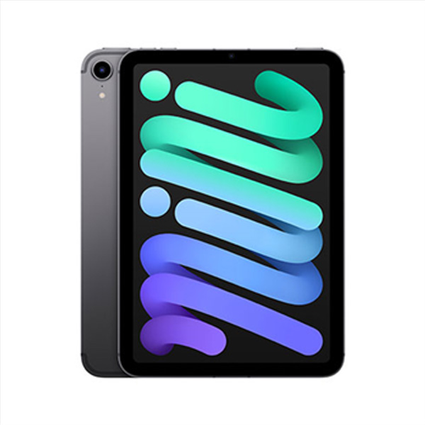 Apple iPad mini (2021) Wi-Fi + Cellular 64GB, space gray Apple iPad mini (2021) Wi-Fi + Cellular 64GB, space gray