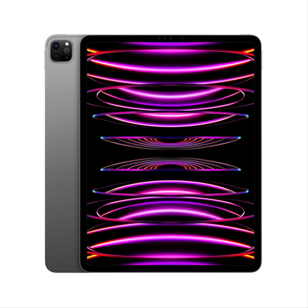 Apple iPad Pro 11" (2022) Wi-Fi + Celluar 512 GB, space gray, Třída A - použito, záruka 12 měsíců