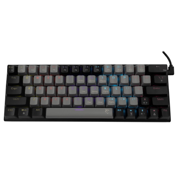 White Shark Gaming mechanická klávesnice WAKIZASHI 2, blue switch, US, černá/šedá, vystavená, záruka 21 měsíců White Shark Gaming mechanická klávesnice WAKIZASHI 2, blue switch, US, černá/šedá, vystavená, záruka 21 měsíců