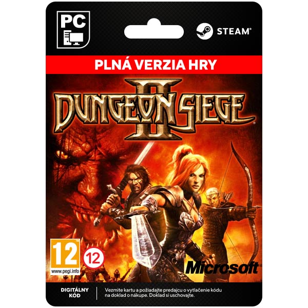 Dungeon Siege 2 [Steam]