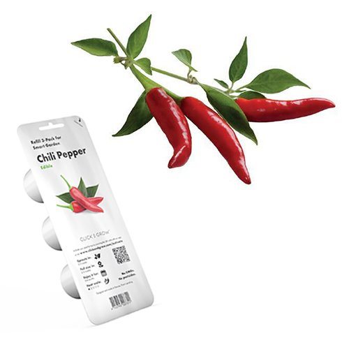 Click and Grow chilli papričky