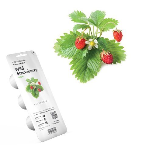 Click and Grow lesní jahody