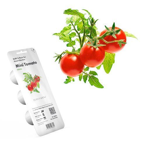 Click and Grow mini rajčata