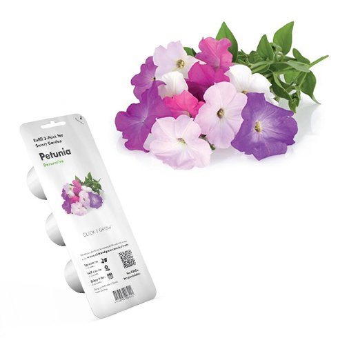 Click and Grow petunie Click and Grow petunie