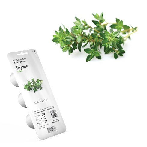 Click and Grow tymián Click and Grow tymián