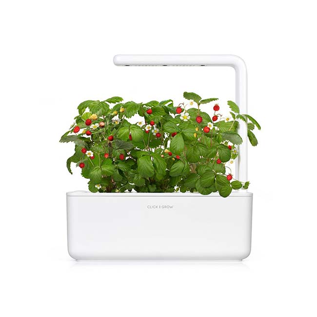 Click And Grow Smart Garden 3 květináč, šedý Click And Grow Smart Garden 3 květináč, šedý