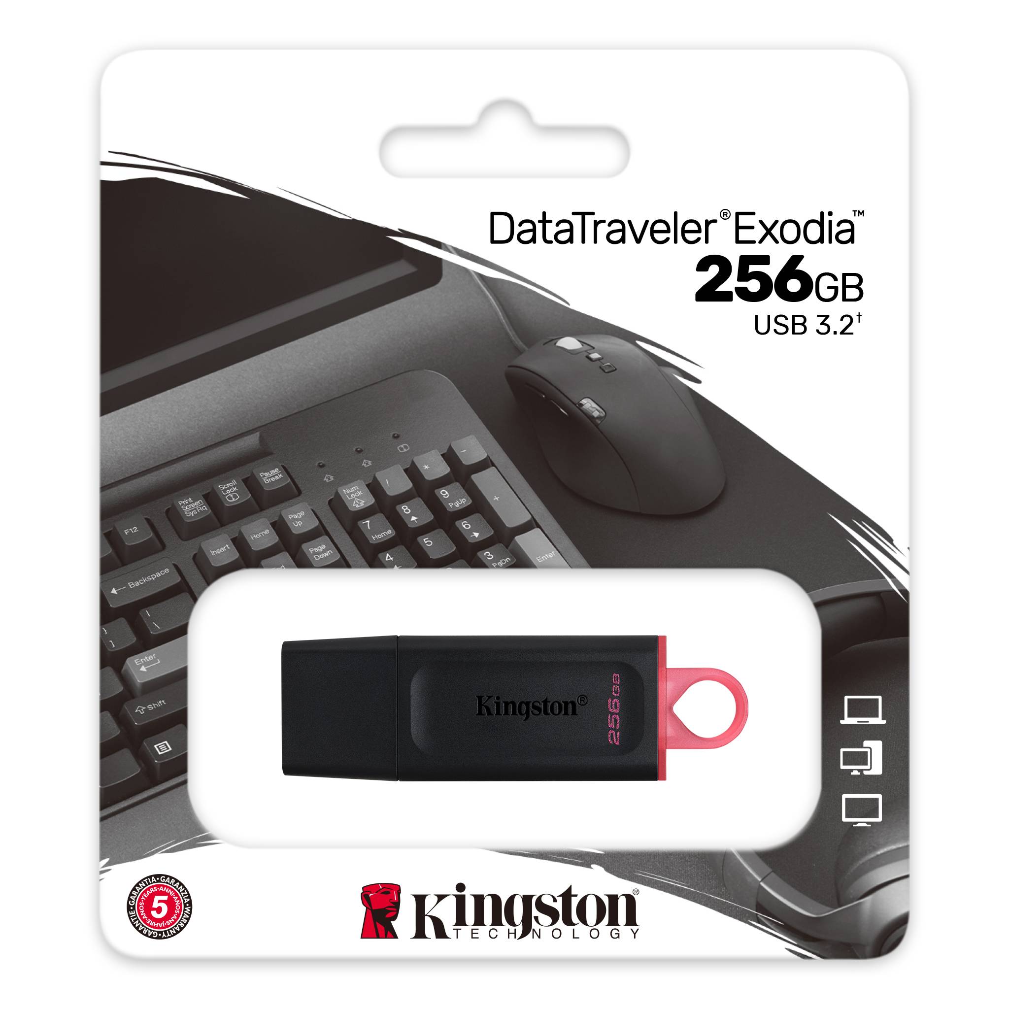 USB klíč Kingston DataTraveler exodu, 256 GB, USB 3.2, pink USB klíč Kingston DataTraveler exodu, 256 GB, USB 3.2, pink