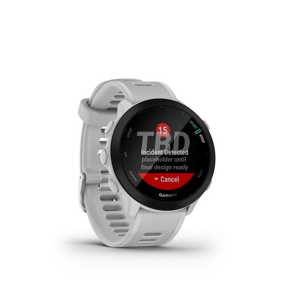 GARMIN Forerunner 55, Whitestone