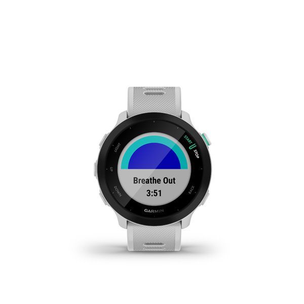 GARMIN Forerunner 55, Whitestone