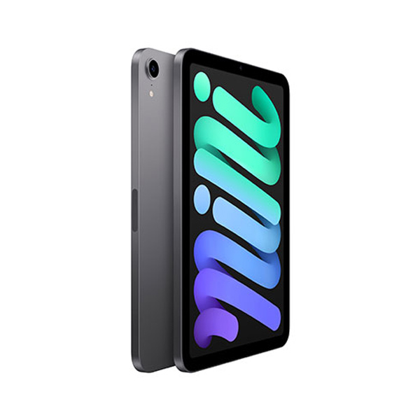 Apple iPad mini (2021) Wi-Fi 64GB, space gray Apple iPad mini (2021) Wi-Fi 64GB, space gray