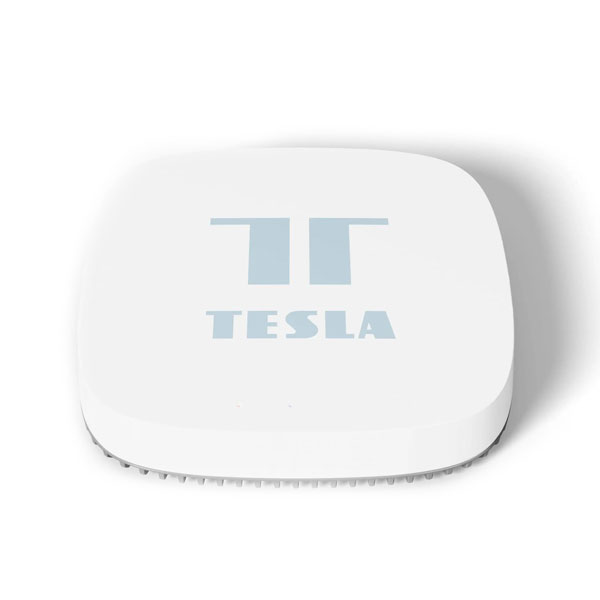 Tesla Smart Bundle Basic 2 (2x Valve + Hub)