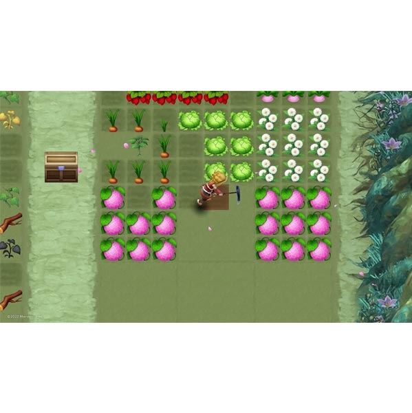 Rune Factory 3 Special Rune Factory 3 Special