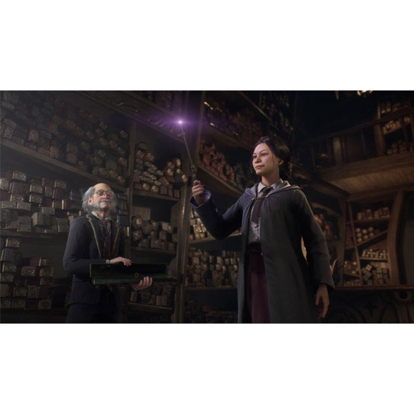 Hogwarts Legacy [Steam]