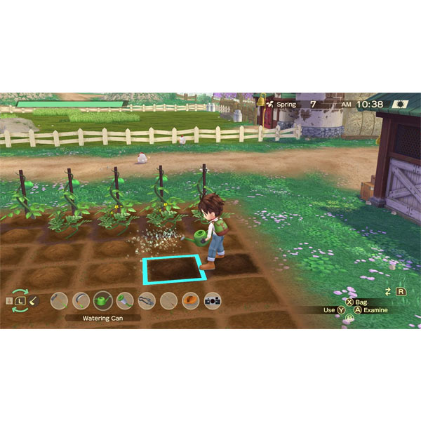 Story of Seasons: A Wonderful Life