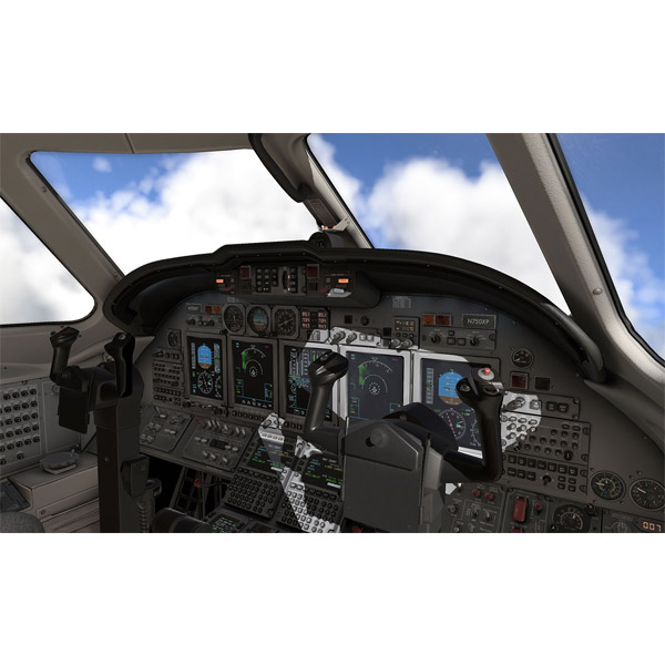 Flight Simulator: XPlane 12 Flight Simulator: XPlane 12
