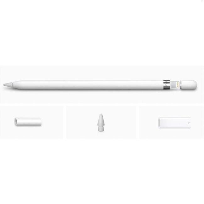 Apple Pencil (1st Generation) + USB-C adapter