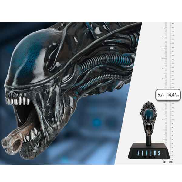 Replika Museum Alien Xenomorph Head