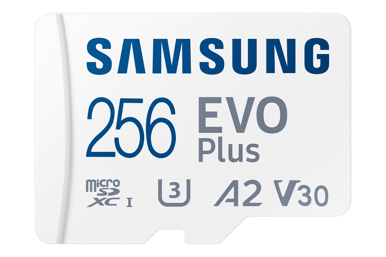 Samsung EVO Plus 256 GB microSDXC (2024)