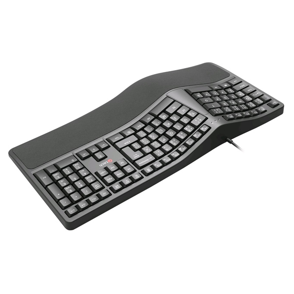 C-Tech KB-113E USB Ergo CZ/SK, černá C-Tech KB-113E USB Ergo CZ/SK, černá