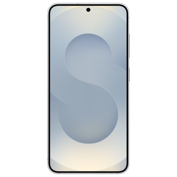 Samsung Galaxy S25 5G 12GB/256GB Silver Shadow/Šedá