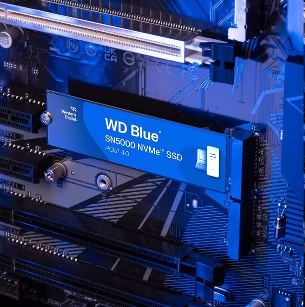 WD Blue SN5000 SSD 4TB M.2 NVMe Gen4 5500/5000 MBps WD Blue SN5000 SSD 4TB M.2 NVMe Gen4 5500/5000 MBps