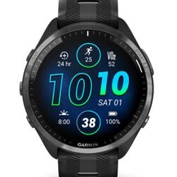 Garmin Forerunner 965, Black/Powder Gray na playgosmart.cz