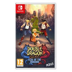 Double Dragon Gaiden: Rise of the Dragons [NSW] - BAZAR (použité zboží) na playgosmart.cz