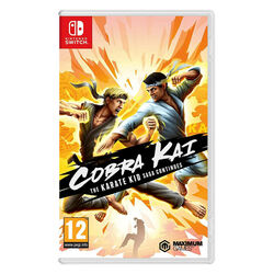 Cobra Kai: The Karate Kid Saga Continues na playgosmart.cz