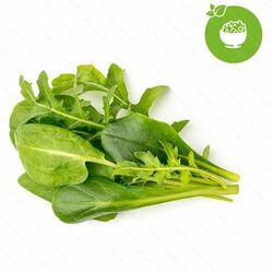 Click and Grow mix zelených salátů na playgosmart.cz