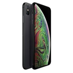 Apple iPhone Xs Max, 256GB | Space Gray, Třída C-použité, záruka 12 měsíců na playgosmart.cz