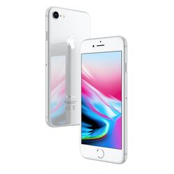 Apple iPhone 8, 256GB | Silver, Trieda B - použité s DPH, záruka 12 mesiacov                        