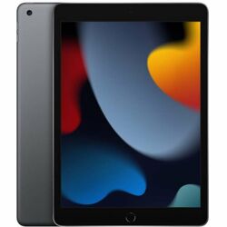 Apple iPad 10.2 (2020), 128GB Wi-Fi + Cellular Space Gray, Třída A - použité, záruka 12 měsíců na playgosmart.cz