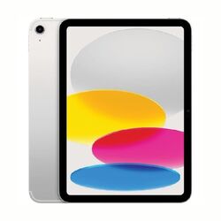 iPad 11