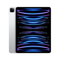 iPad Pro 12.9″ Wi-Fi 128 GB stříbrná (2022) *Vystavený*